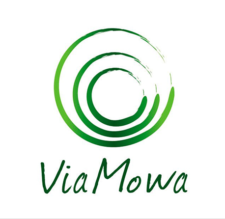 Viamowa logo